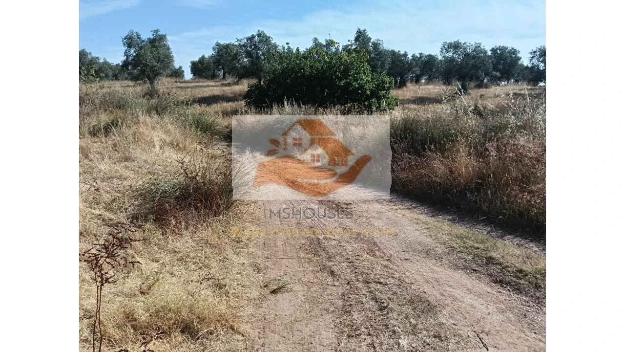 Terreno para Venda em Messejana Foto 2