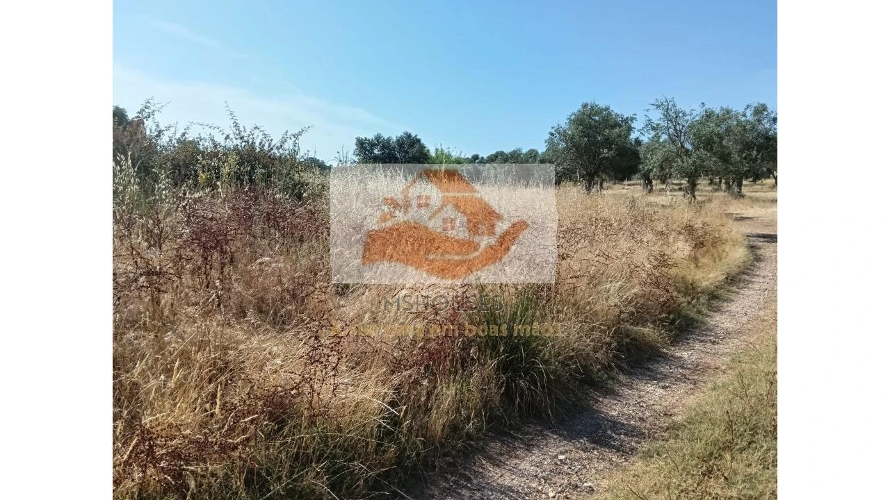Terreno para Venda em Messejana Foto 5