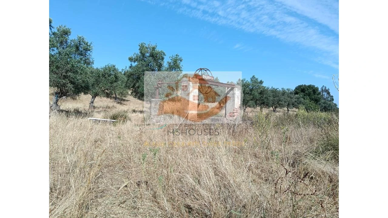 Terreno para Venda em Messejana Foto 6