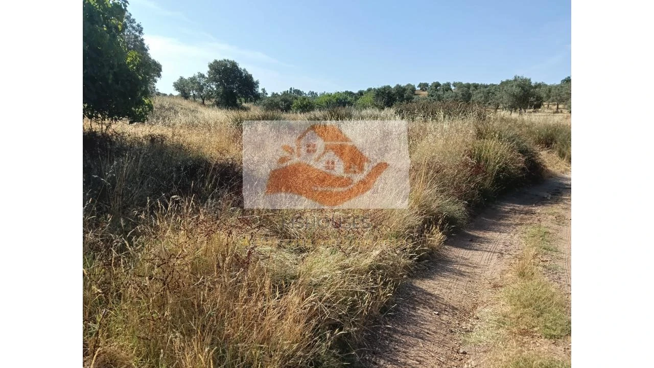 Terreno para Venda em Messejana Foto 7