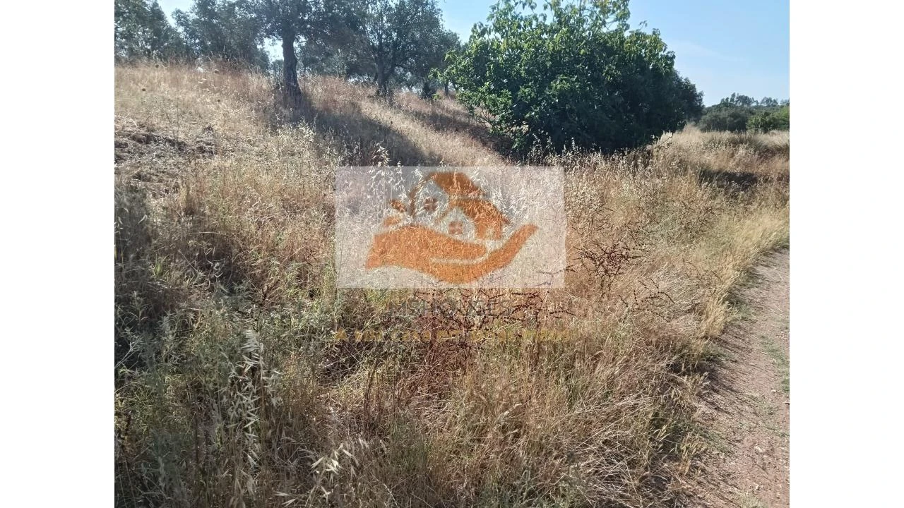 Terreno para Venda em Messejana Foto 8