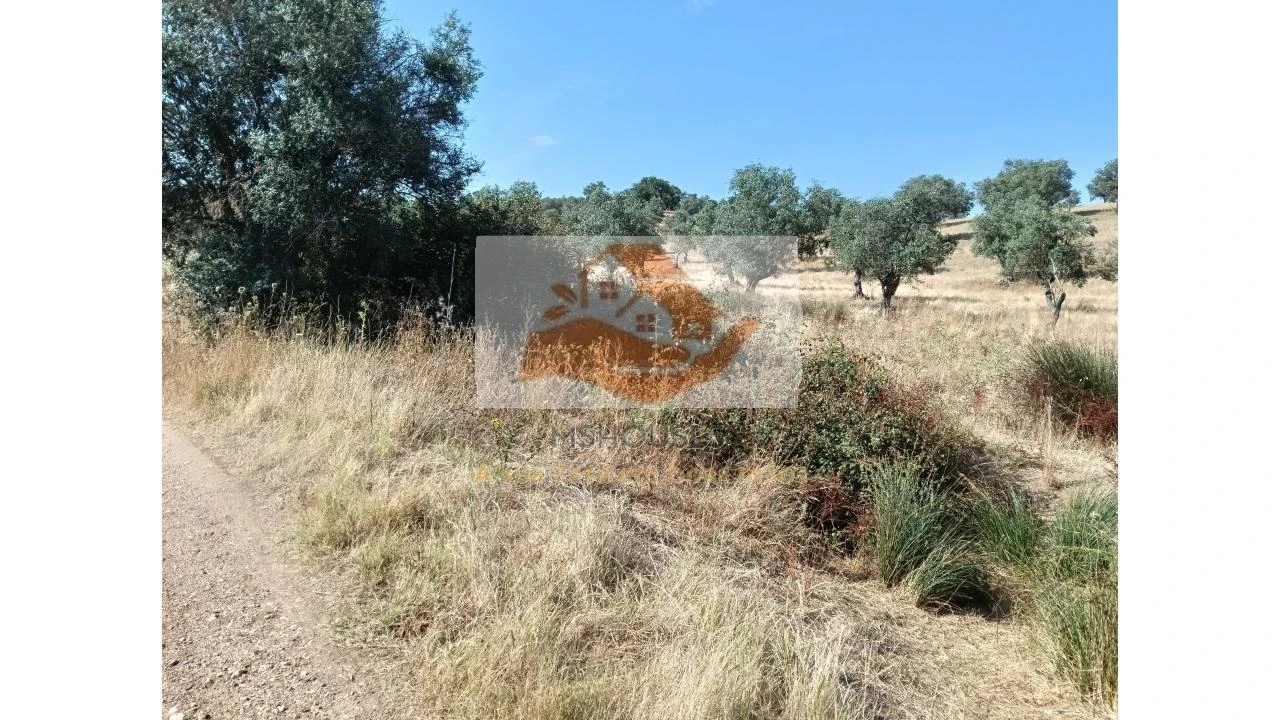 Terreno para Venda em Messejana Foto 10
