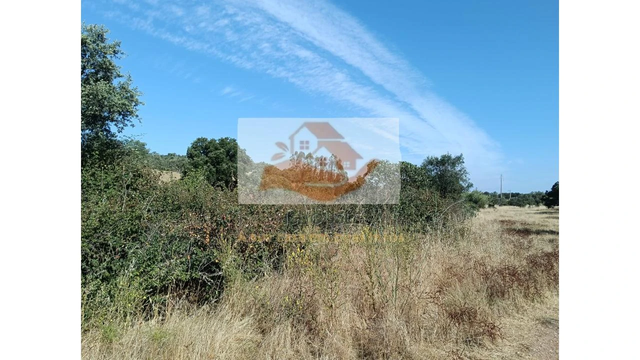 Terreno para Venda em Messejana Foto 11