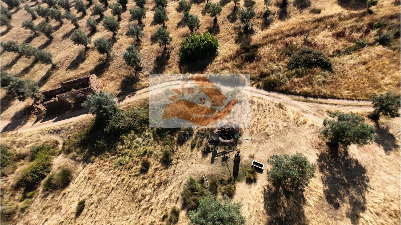 Terreno para Venda em Messejana Foto 16