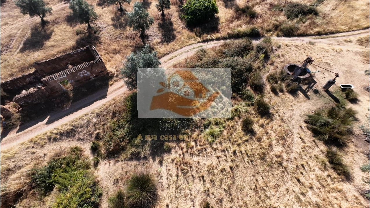 Terreno para Venda em Messejana Foto 18