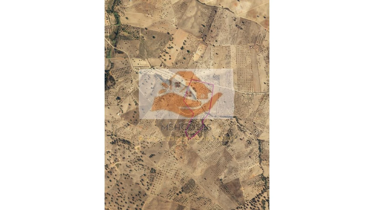 Terreno para Venda em Messejana Foto 19