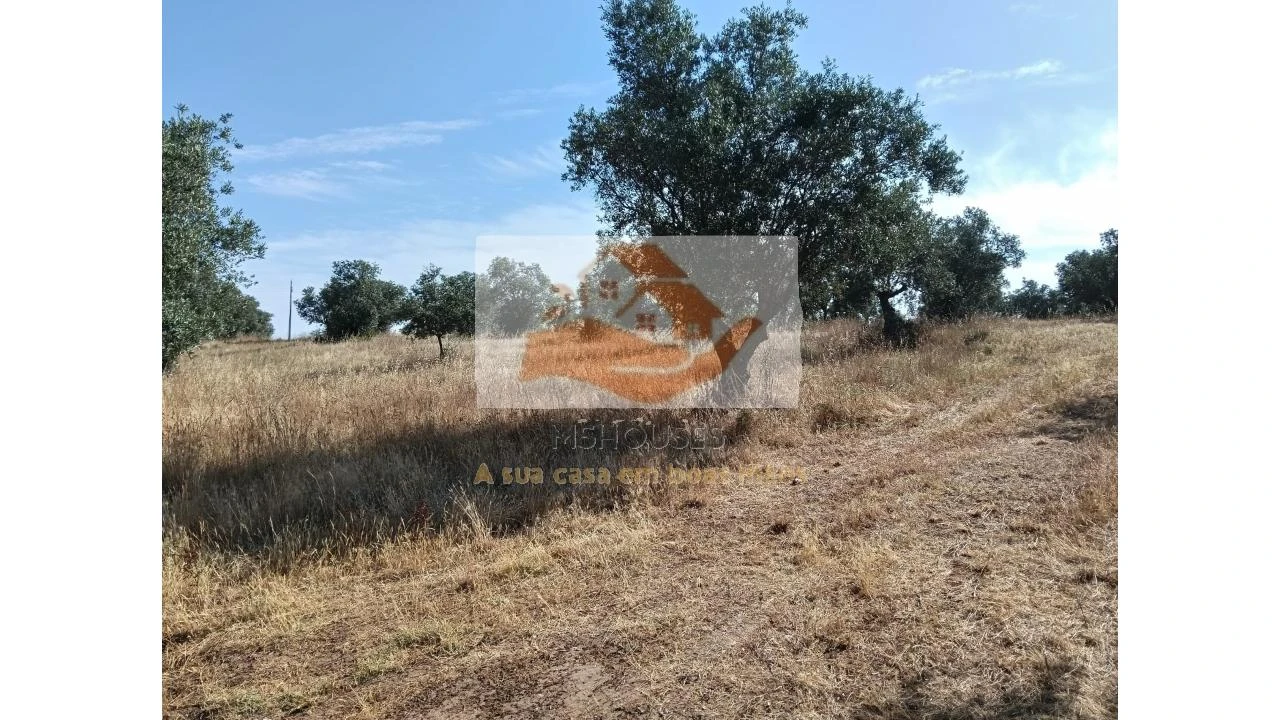 Terreno para Venda em Messejana Foto 20