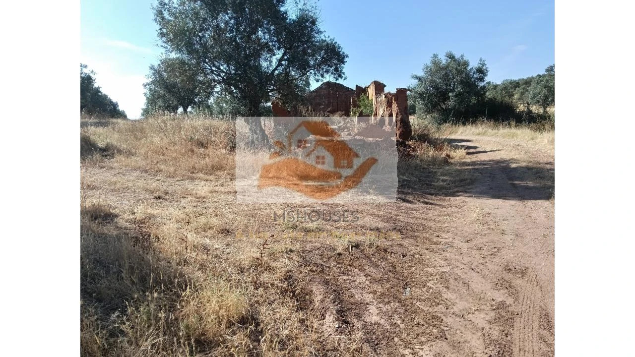 Terreno para Venda em Messejana Foto 33