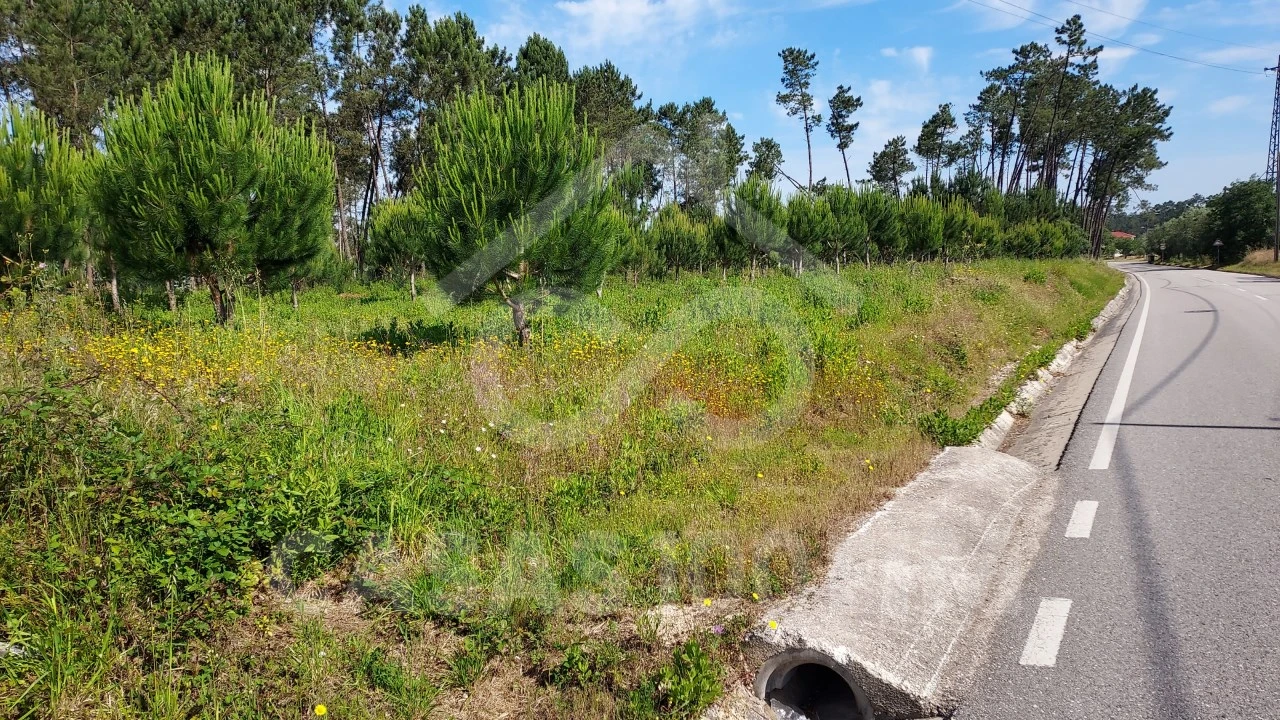 Terreno para Venda em Vermoil Foto 2