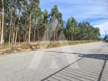 Terreno para Venda em Pinheiro da Bemposta, Travanca e Palmaz