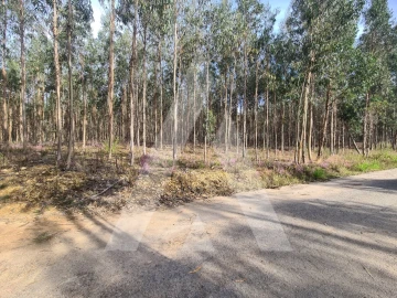 Terreno para Venda em Pinheiro da Bemposta, Travanca e Palmaz