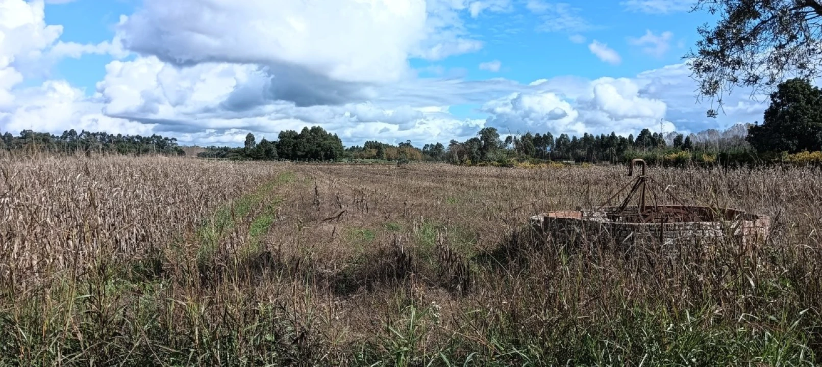 Terreno para Venda em Ouca Foto 5