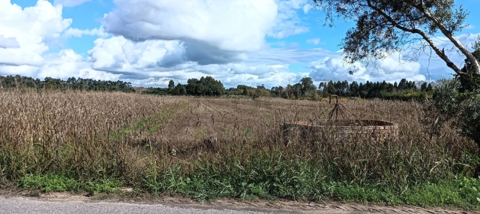 Terreno para Venda em Ouca Foto 7