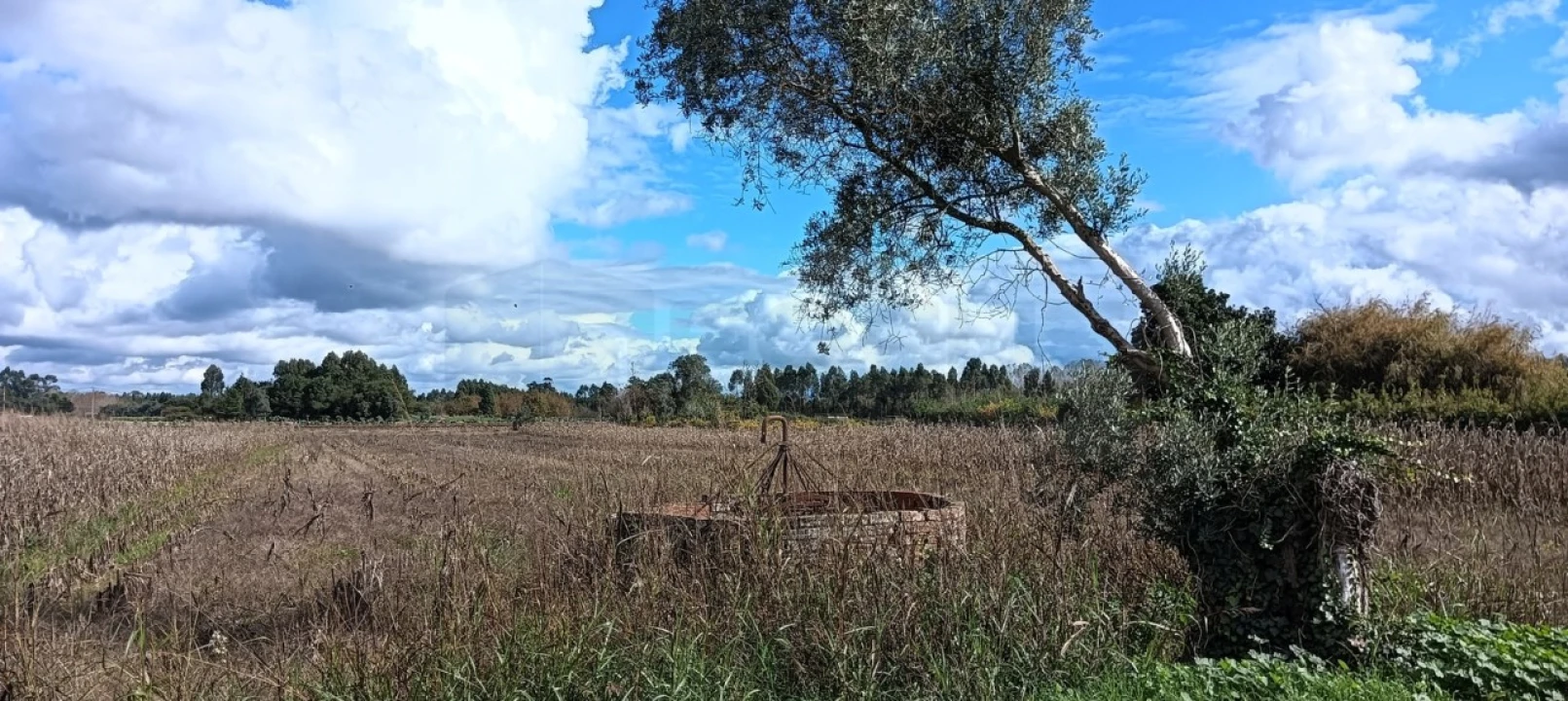Terreno para Venda em Ouca Foto 14