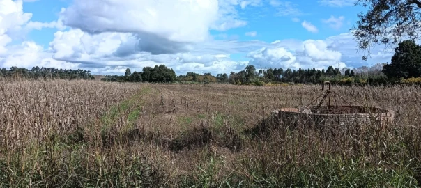 Terreno para Venda em Ouca