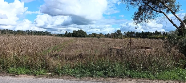 Terreno para Venda em Ouca