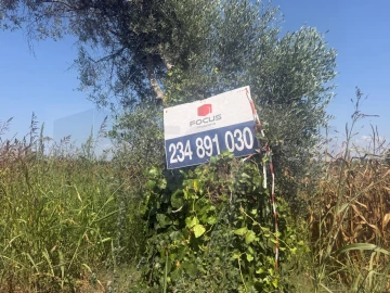Terreno para Venda em Ouca