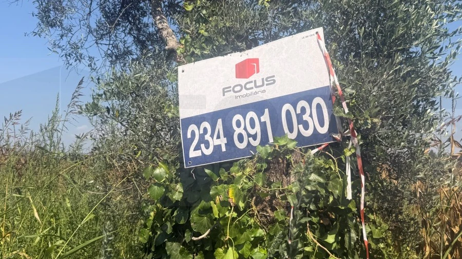 Terreno para Venda em Ouca