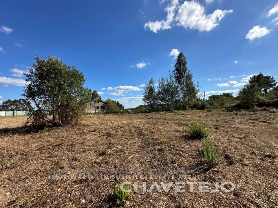 Terreno Agricola ou Rústico para Venda em Asseiceira Foto 3
