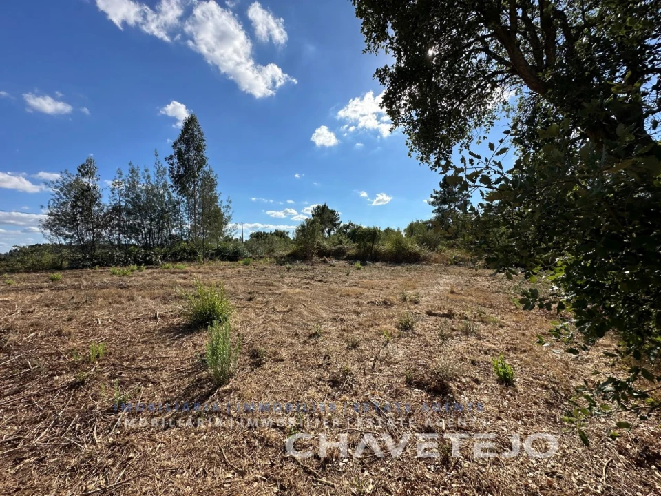 Terreno Agricola ou Rústico para Venda em Asseiceira Foto 4