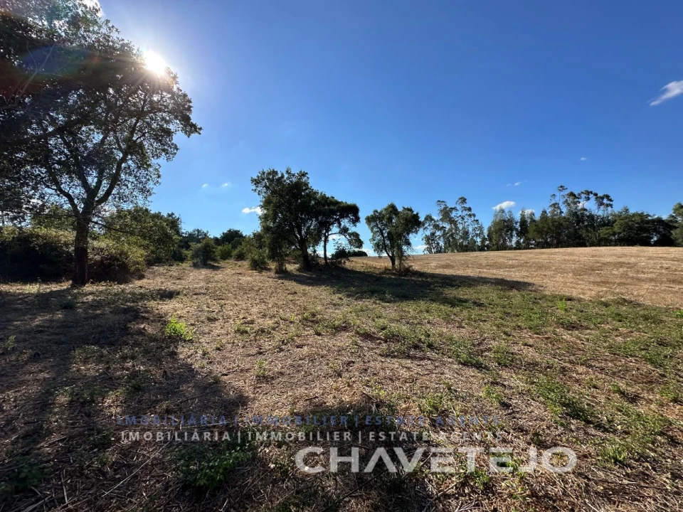 Terreno Agricola ou Rústico para Venda em Asseiceira Foto 6