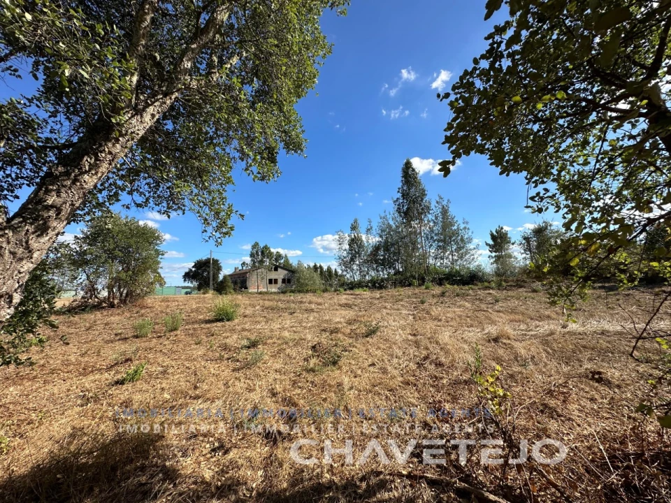 Terreno Agricola ou Rústico para Venda em Asseiceira Foto 8