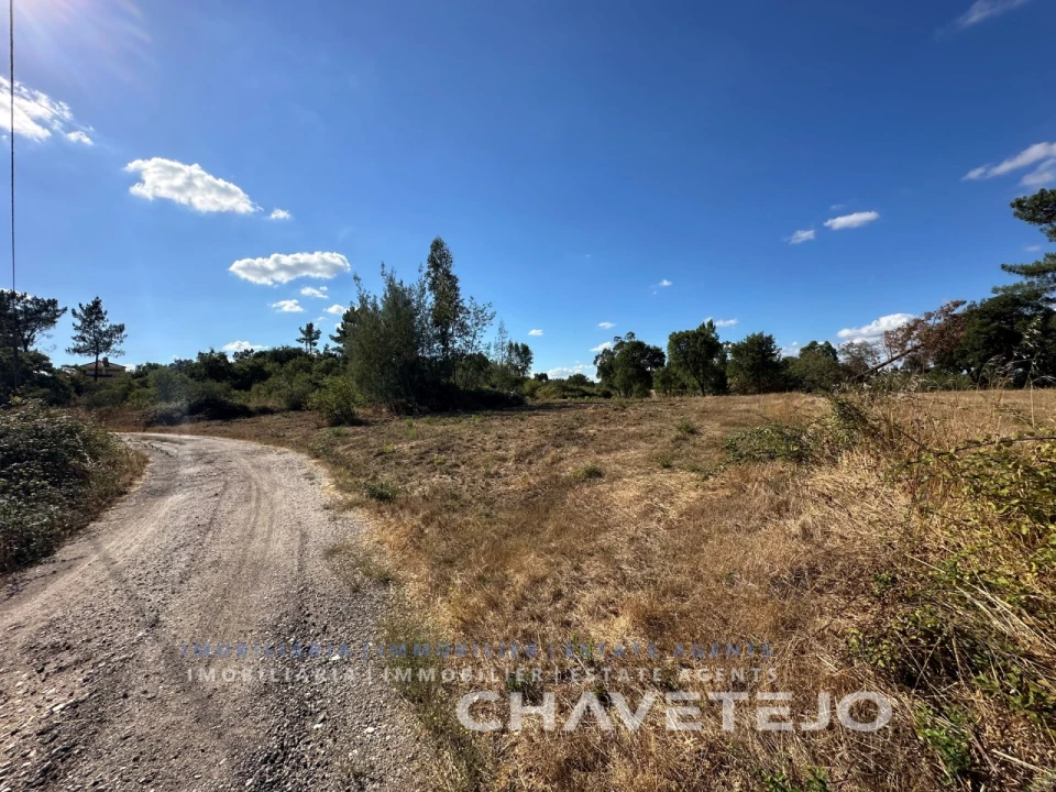 Terreno Agricola ou Rústico para Venda em Asseiceira Foto 9