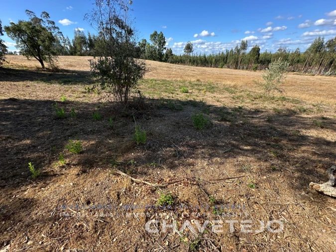 Terreno Agricola ou Rústico para Venda em Asseiceira Foto 5