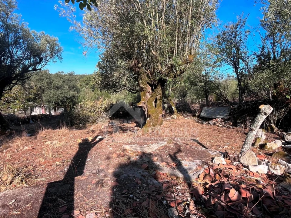 Moradia T3 para Venda em Pousaflores Foto 28