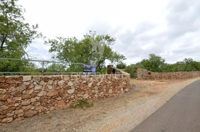 Terreno para Venda em Alte