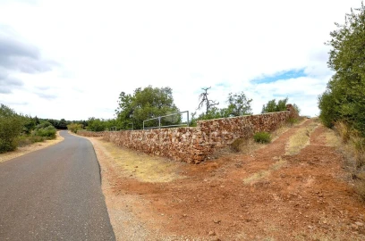 Terreno para Venda em Alte