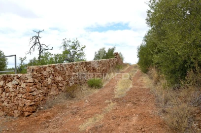 Terreno para Venda em Alte