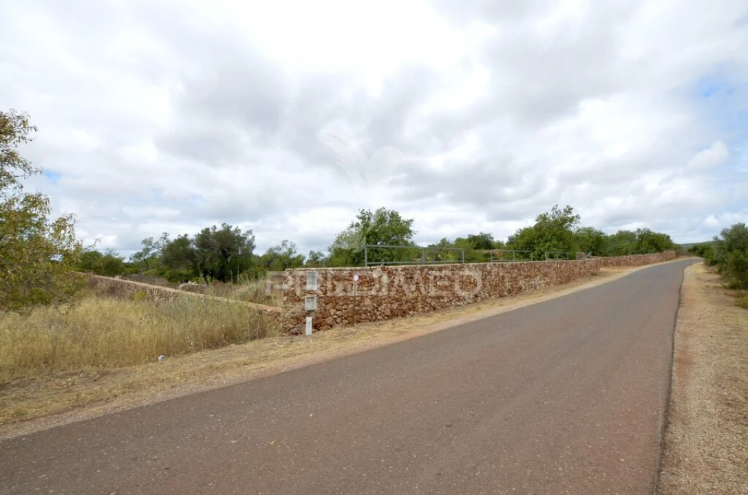 Terreno para Venda em Alte Foto 3