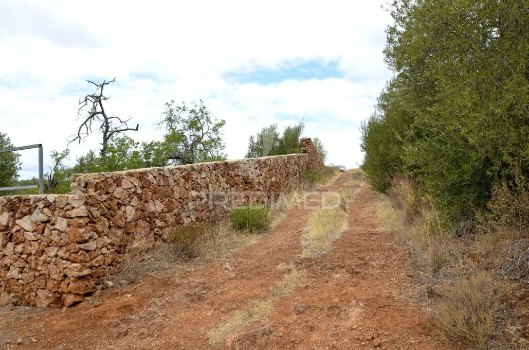 Terreno para Venda em Alte Foto 11
