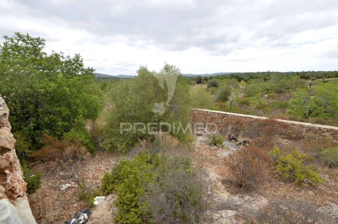 Terreno para Venda em Alte Foto 15