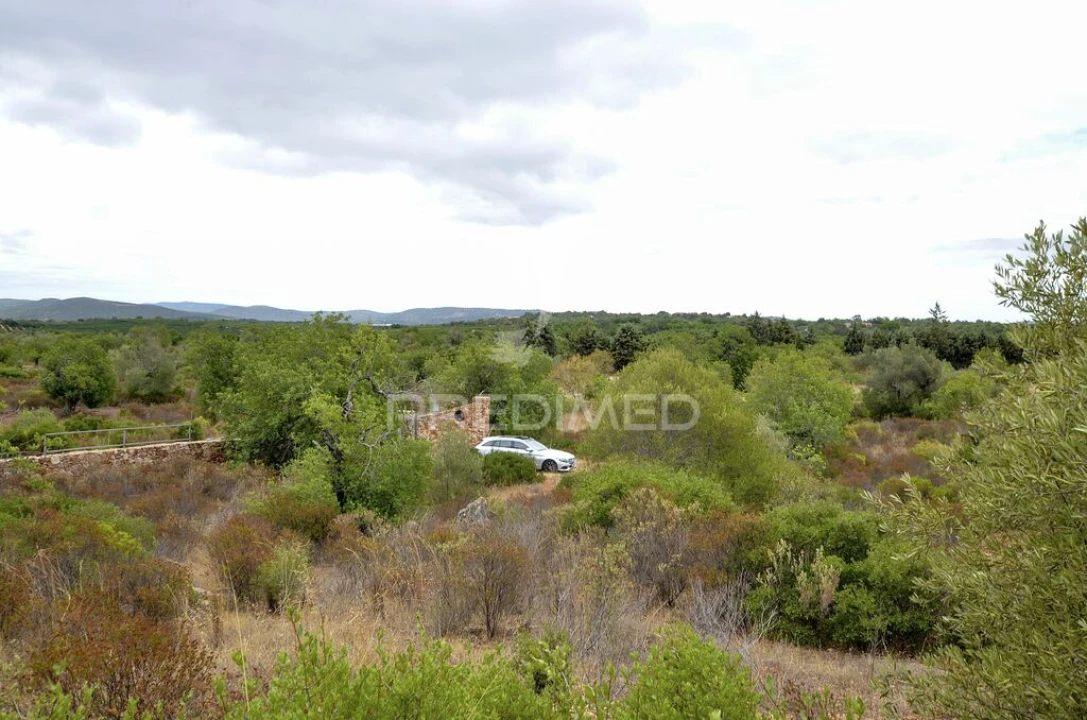 Terreno para Venda em Alte Foto 12