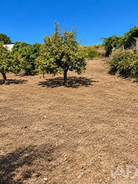 Terreno para Venda em Ninho do Açor e Sobral do Campo