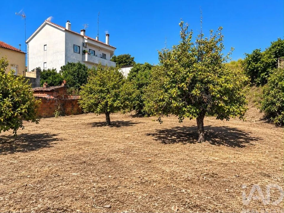 Terreno para Venda em Ninho do Açor e Sobral do Campo Foto 1