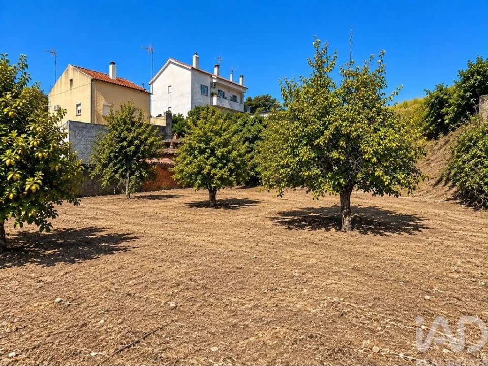 Terreno para Venda em Ninho do Açor e Sobral do Campo Foto 3