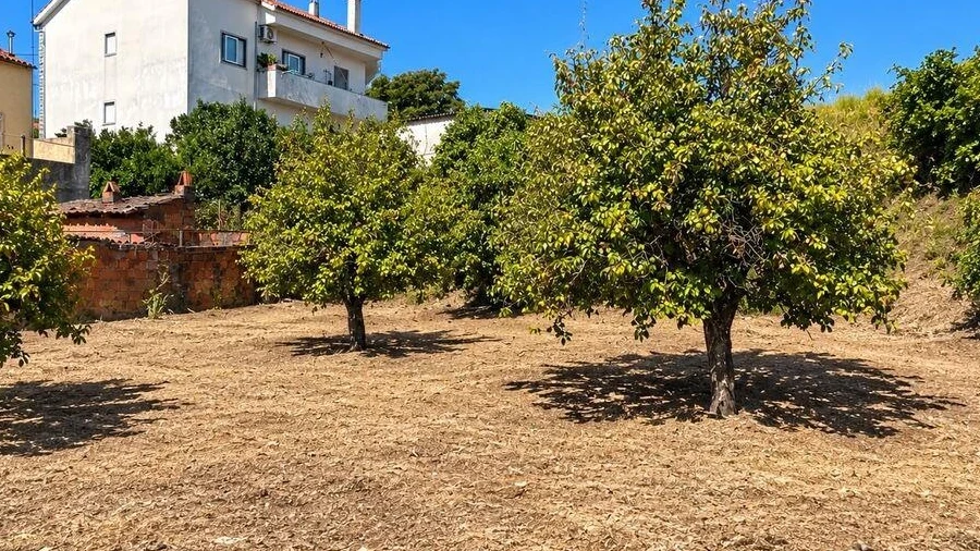 Terreno para Venda em Ninho do Açor e Sobral do Campo