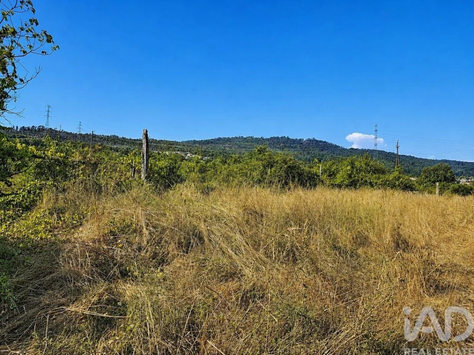 Quinta T6 para Venda em Abragão Foto 14