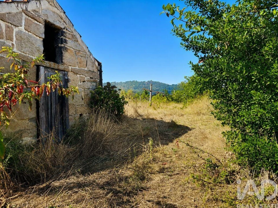 Quinta T6 para Venda em Abragão Foto 12