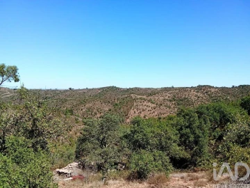 Quinta T4 para Venda em São Barnabe