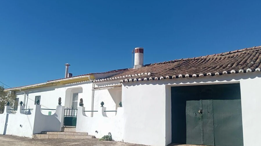 Quinta T4 para Venda em São Barnabe