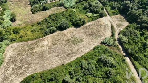 Terreno para Venda em Azambujeira e Malaqueijo