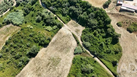 Terreno para Venda em Azambujeira e Malaqueijo