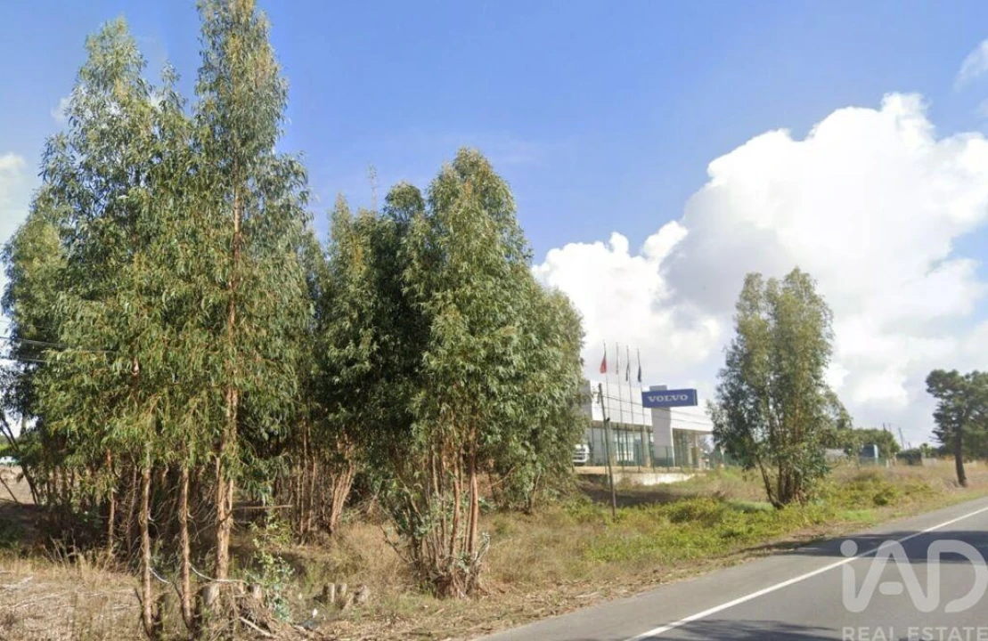 Terreno para Venda em Palmela Foto 15