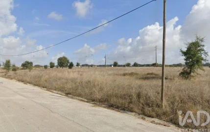 Terreno para Venda em Palmela
