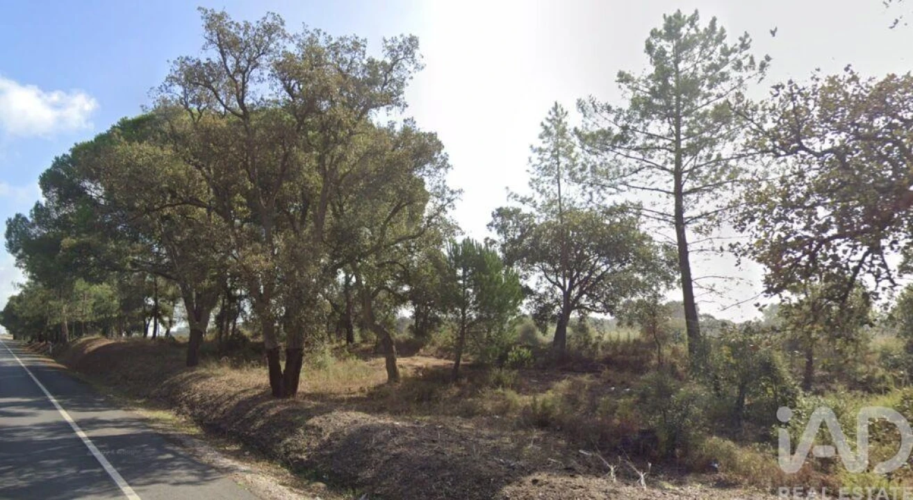 Terreno para Venda em Palmela Foto 7