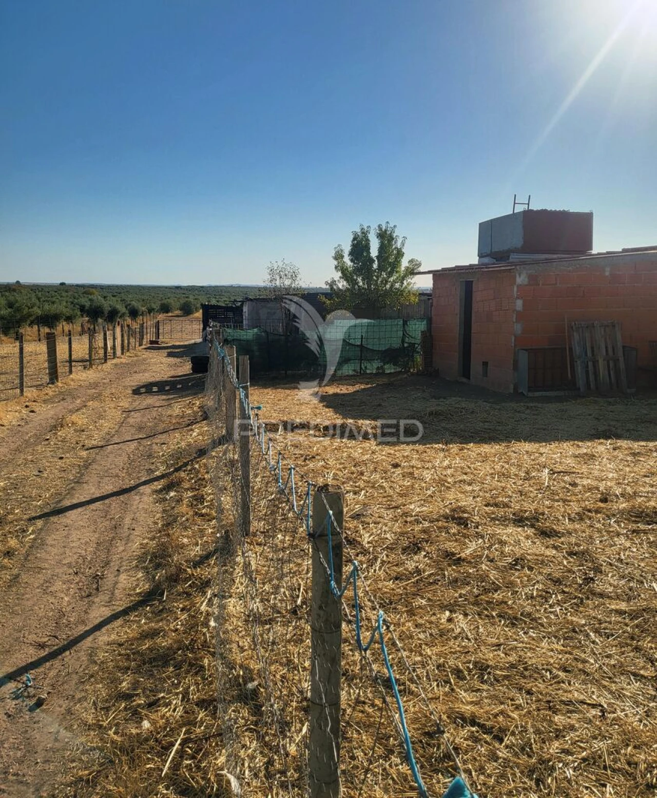 Terreno para Venda em Mourão Foto 7